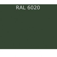 RAL 6020